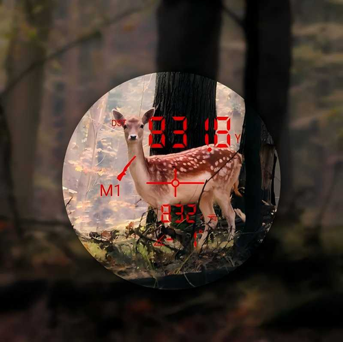 10 Key Features to Look for in a Hunting Laser Rangefinder